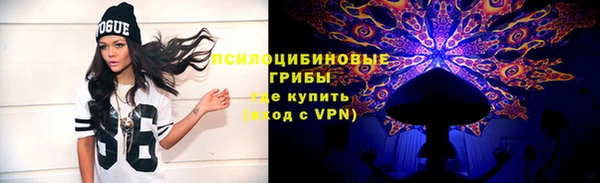 гашик Алзамай