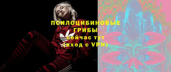 гашик Алзамай