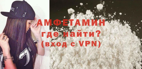 гидра Арсеньев