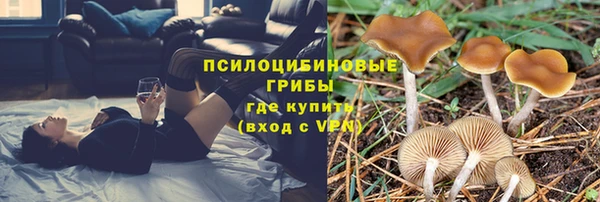 гашик Алзамай