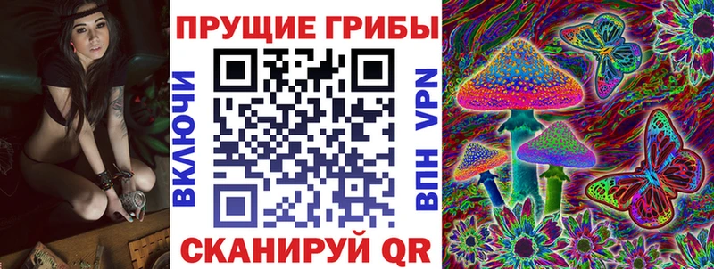 наркотики  Юрьевец  Галлюциногенные грибы мицелий 